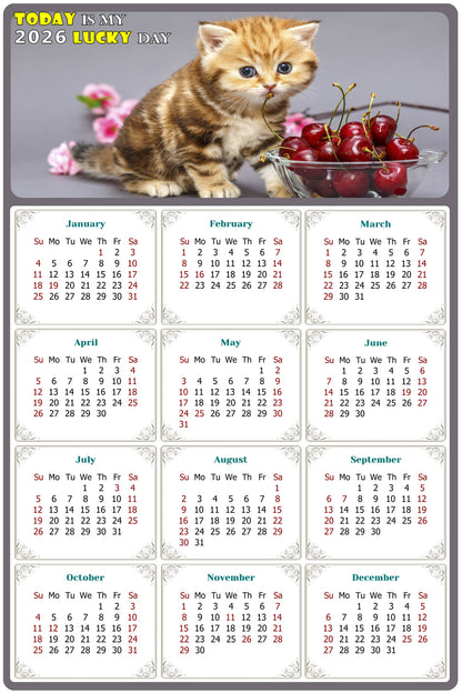 2026 Magnetic Calendar - Today is My Lucky Day (Fade, Tear, and Water Resistant)- Cat Themed 016
