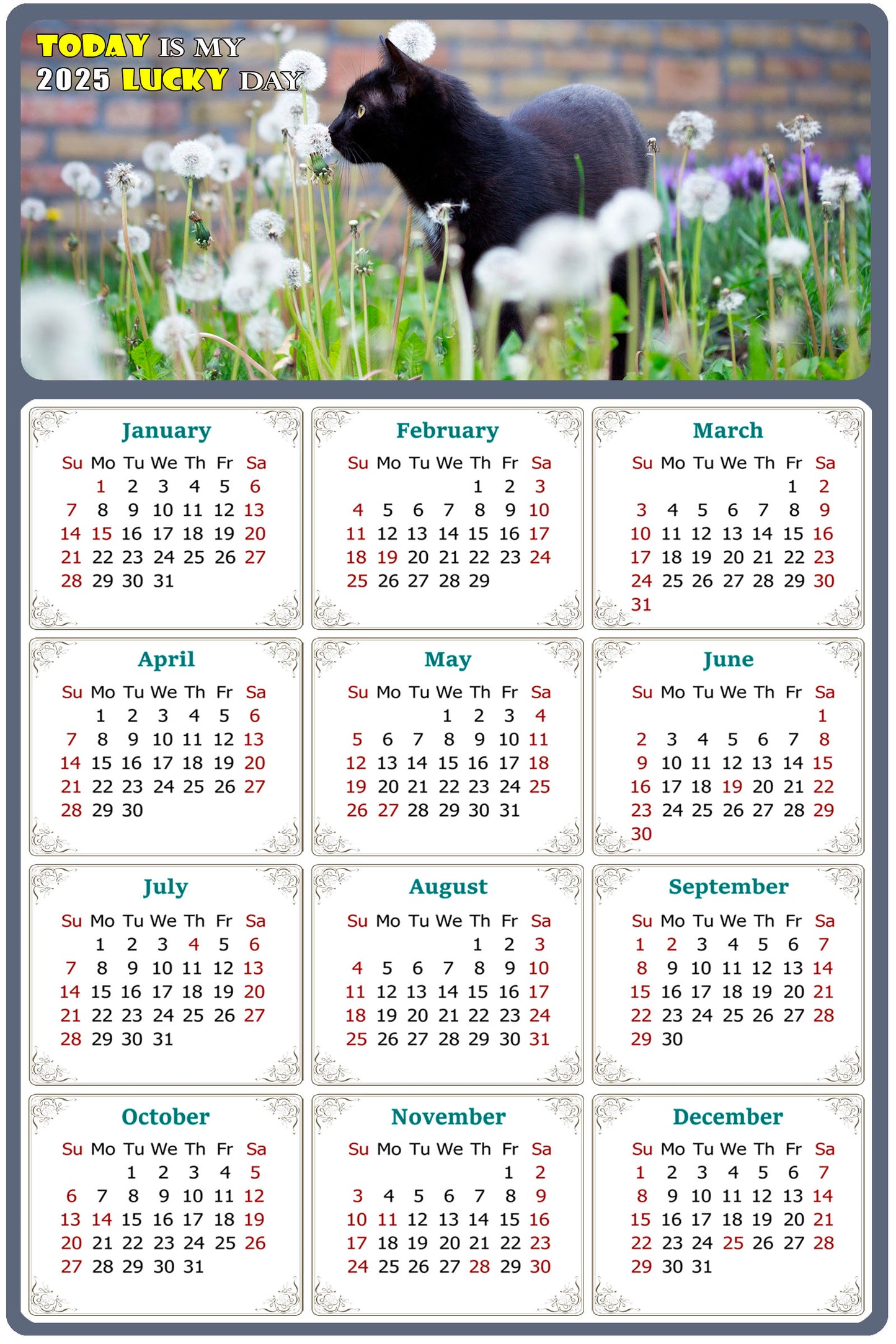 2025 Magnetic Calendar - Today is My Lucky Day (Fade, Tear, and Water Resistant)- Cat Themed 05