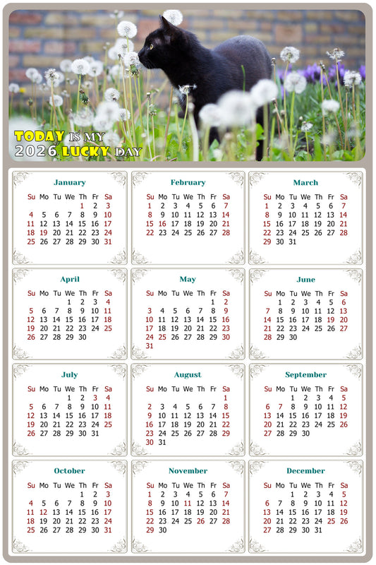 2026 Peel & Stick Calendar - Today is my Lucky Day Removable - Cat 05 (9"x 6")