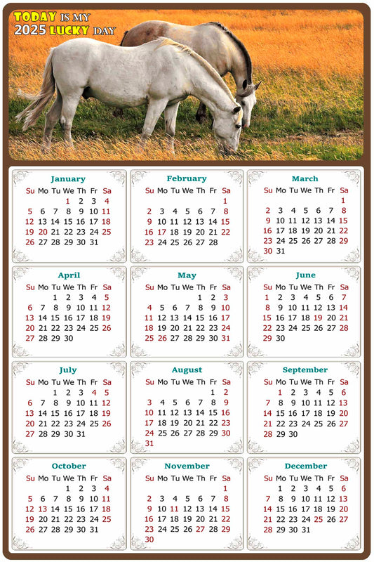 2025 Peel & Stick Calendar - Today is my Lucky Day Removable - Horses 013 (12"x 8")