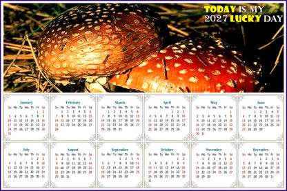 2027 Peel & Stick Calendar - Today is my Lucky Day - Removable, Repositionable - 038 (9"x 6")