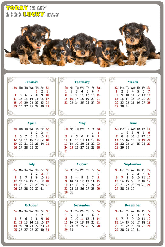 2026 Magnetic Calendar - Today is My Lucky Day (Fade, Tear, and Water Resistant)- Dogs Themed 016