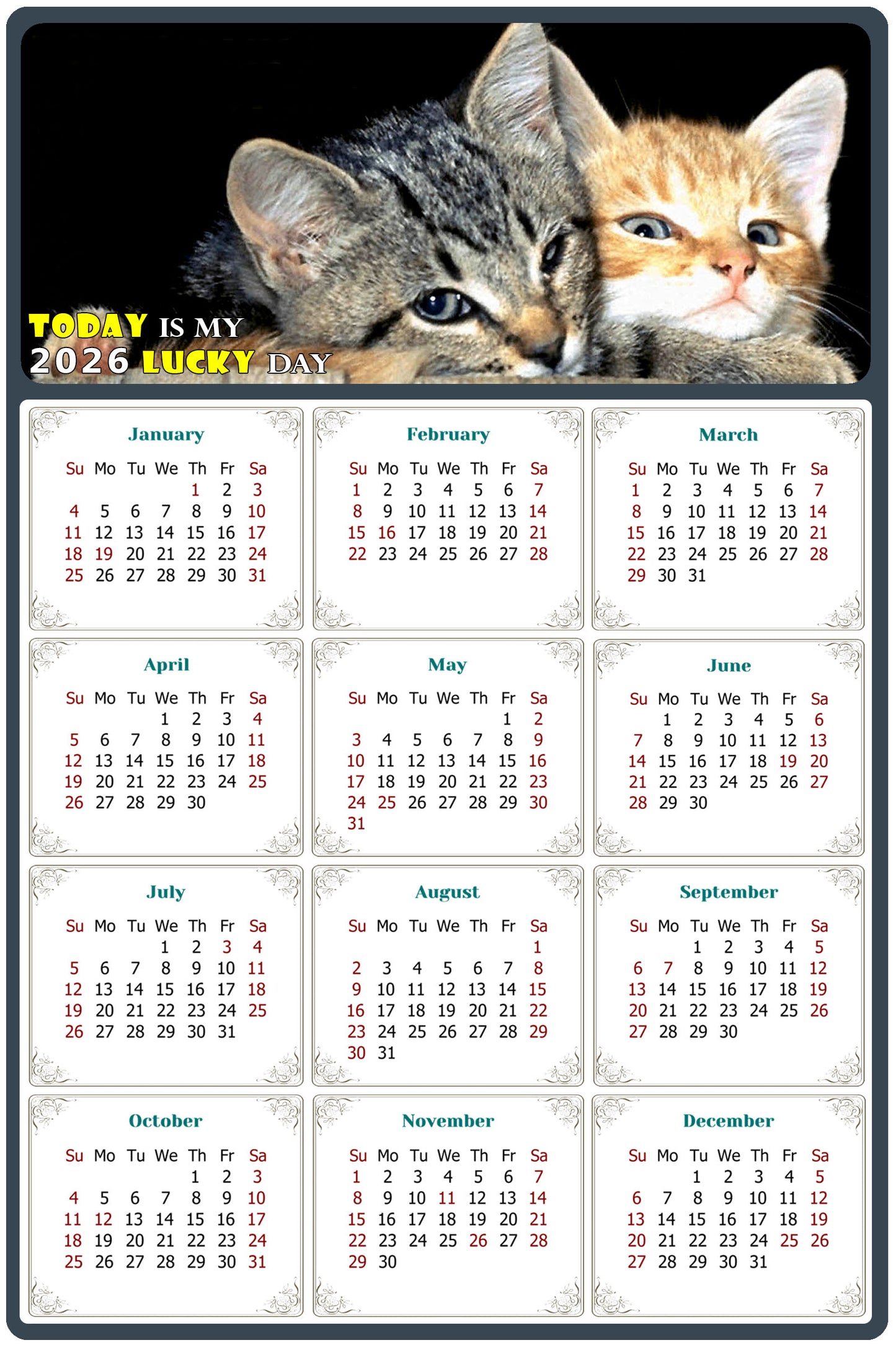 2026 Magnetic Calendar - Today is My Lucky Day (Fade, Tear, and Water Resistant)- Cat Themed 010