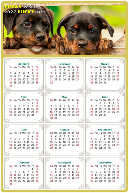 2027 Magnetic Calendar - Today is My Lucky Day (Fade, Tear, and Water Resistant)- Dogs Themed 04