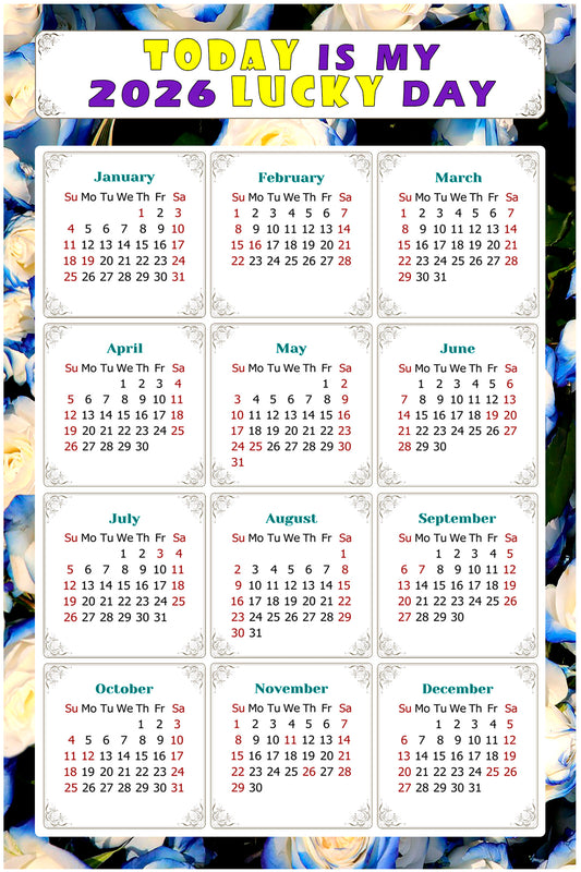 2026 Magnetic Calendar - Calendar Magnets - Today is my Lucky Day - (Fade, Tear, and Water Resistant) - Themed 025