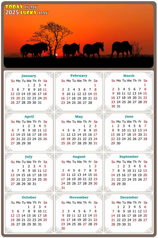 2025 Peel & Stick Calendar - Today is my Lucky Day Removable - Horses 011 (12"x 8")