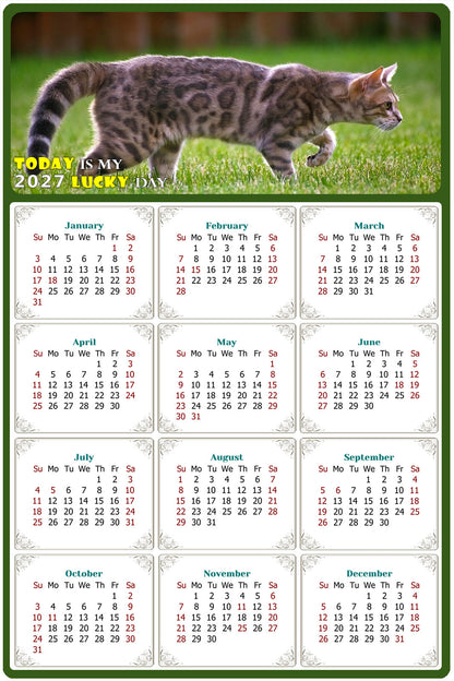2027 Peel & Stick Calendar - Today is my Lucky Day Removable - Cat 09 (12"x 8")