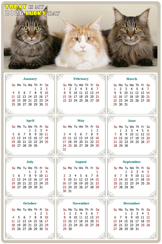 2026 Magnetic Calendar - Today is My Lucky Day (Fade, Tear, and Water Resistant)- Cat Themed 015