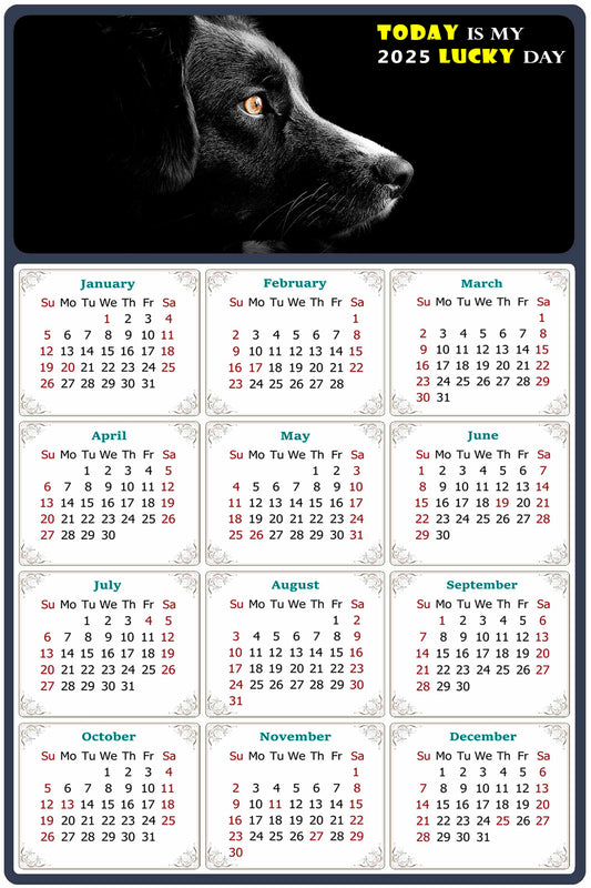 2025 Magnetic Calendar - Today is My Lucky Day (Fade, Tear, and Water Resistant)- Dogs Themed 05