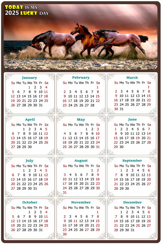 2025 Peel & Stick Calendar - Today is my Lucky Day Removable - Horses 01 (12"x 8")