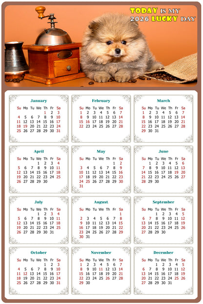 2026 Peel & Stick Calendar - Today is my Lucky Day Removable - Dogs 019 (12"x 8")