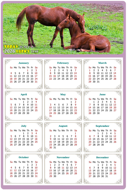 2026 Magnetic Calendar - Calendar Magnets - Today is my Lucky Day - (Fade, Tear, and Water Resistant) - Horses Themed 019