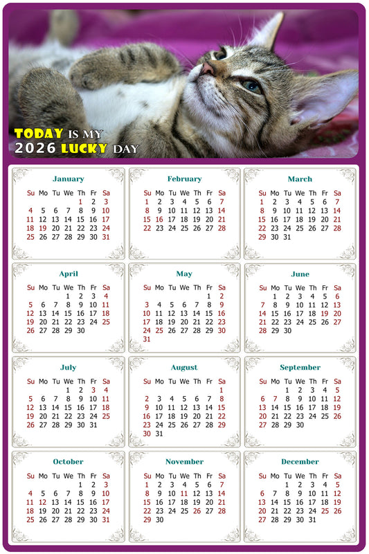 2026 Peel & Stick Calendar - Today is my Lucky Day Removable - Cat 08 (12"x 8")