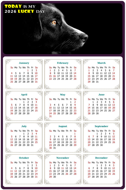 2026 Peel & Stick Calendar - Today is my Lucky Day Removable - Dogs 05 (12"x 8")