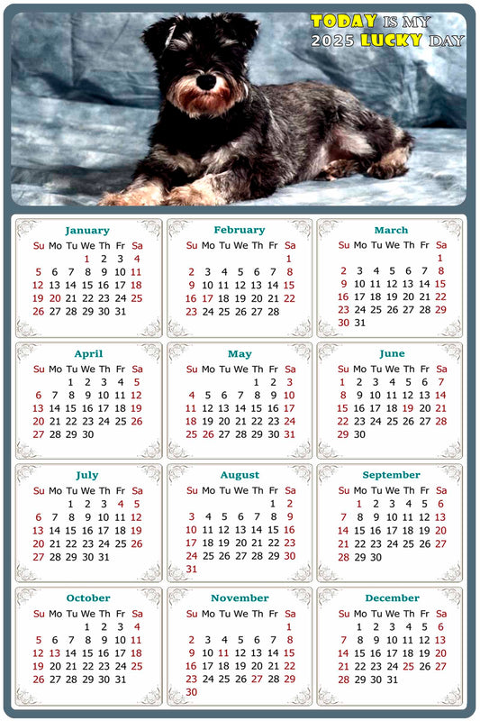 2025 Magnetic Calendar - Today is My Lucky Day (Fade, Tear, and Water Resistant)- Dogs Themed 010