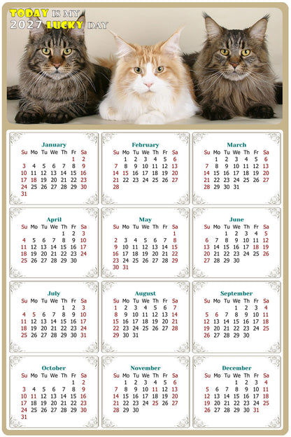 2027 Peel & Stick Calendar - Today is my Lucky Day Removable - Cat 015 (9"x 6")