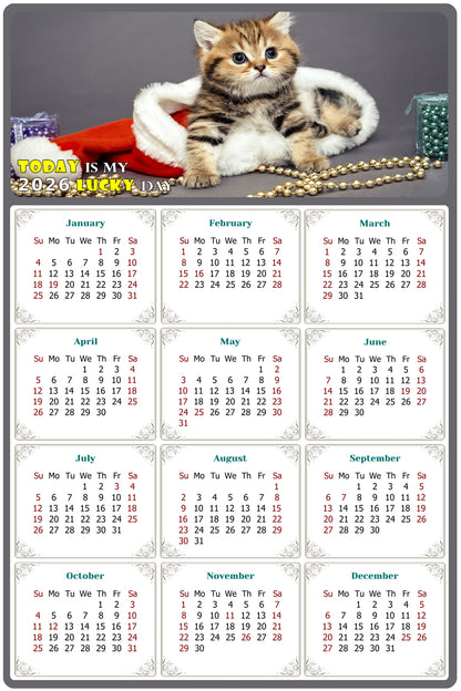 2026 Peel & Stick Calendar - Today is my Lucky Day Removable - Cat 023 (9"x 6")