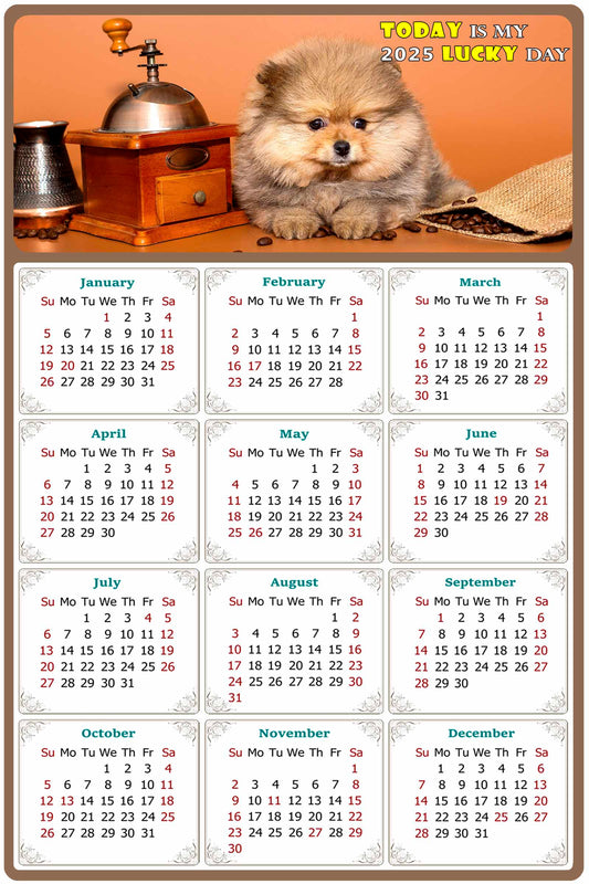 2025 Peel & Stick Calendar - Today is my Lucky Day Removable - Dogs 019 (12"x 8")