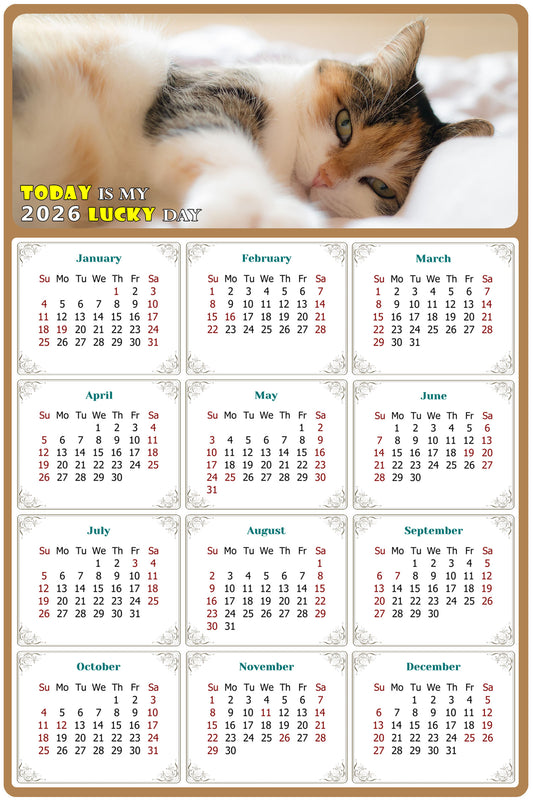 2026 Peel & Stick Calendar - Today is my Lucky Day Removable - Cat 04 (9"x 6")