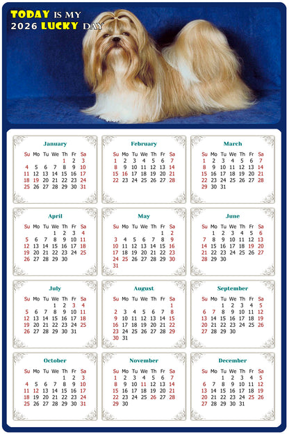 2026 Magnetic Calendar - Today is My Lucky Day (Fade, Tear, and Water Resistant)- Dogs Themed 07