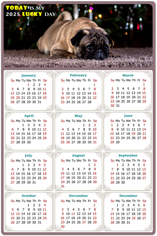 2025 Magnetic Calendar - Today is My Lucky Day (Fade, Tear, and Water Resistant)- Dogs Themed 02
