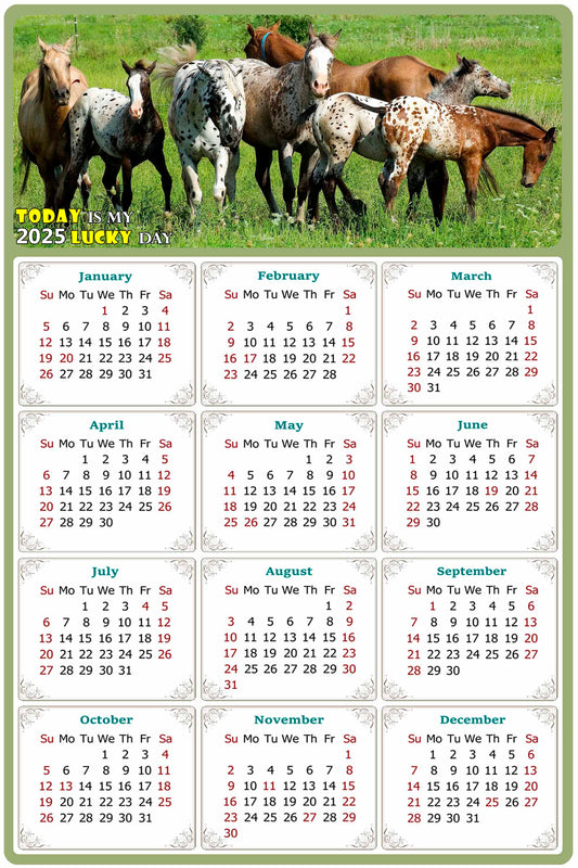 2025 Peel & Stick Calendar - Today is my Lucky Day Removable - Horses 02 (12"x 8")