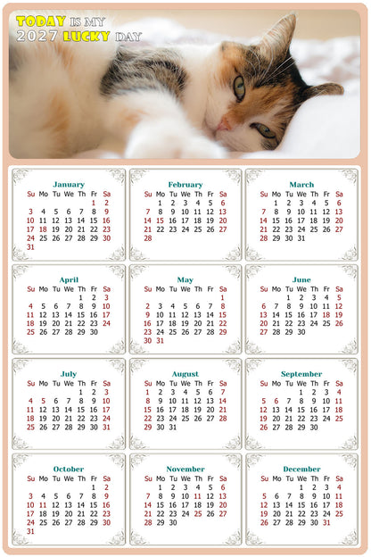 2027 Peel & Stick Calendar - Today is my Lucky Day Removable - Cat 04 (9"x 6")