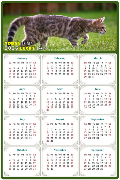 2026 Peel & Stick Calendar - Today is my Lucky Day Removable - Cat 09 (12"x 8")