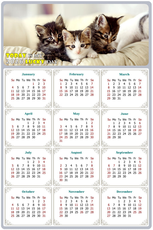 2026 Peel & Stick Calendar - Today is my Lucky Day Removable - Cat 021 (12"x 8")