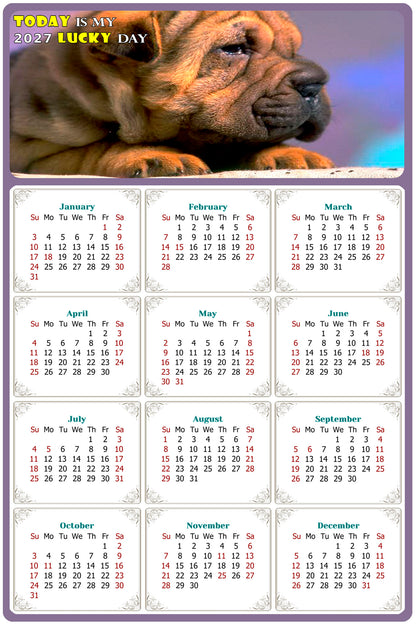 2027 Magnetic Calendar - Today is My Lucky Day (Fade, Tear, and Water Resistant)- Dogs Themed 012