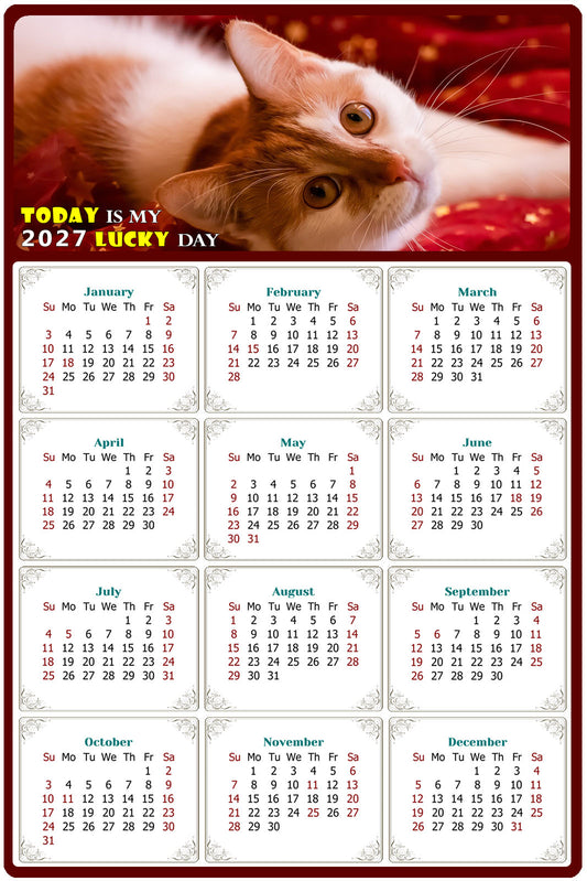 2027 Peel & Stick Calendar - Today is my Lucky Day Removable - Cat 07 (12"x 8")