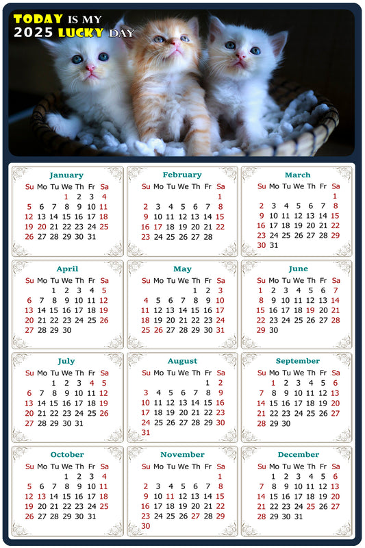 2025 Peel & Stick Calendar - Today is my Lucky Day Removable - Cat 011 (12"x 8")