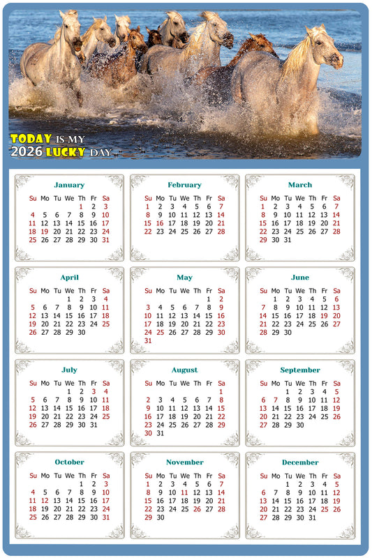 2026 Magnetic Calendar - Calendar Magnets - Today is my Lucky Day - (Fade, Tear, and Water Resistant) - Horses Themed 08
