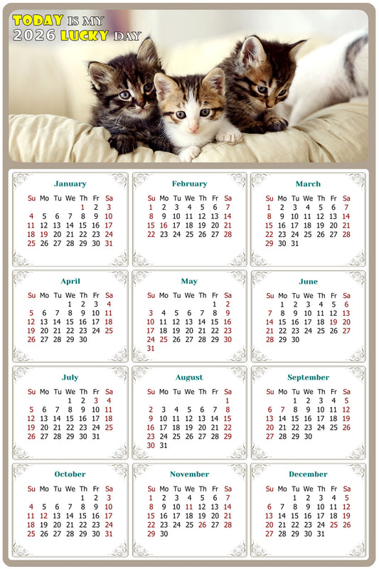 2026 Magnetic Calendar - Today is My Lucky Day (Fade, Tear, and Water Resistant)- Cat Themed 021
