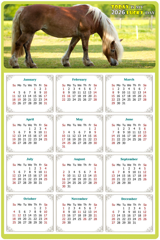 2026 Magnetic Calendar - Calendar Magnets - Today is my Lucky Day - (Fade, Tear, and Water Resistant) - Horses Themed 016