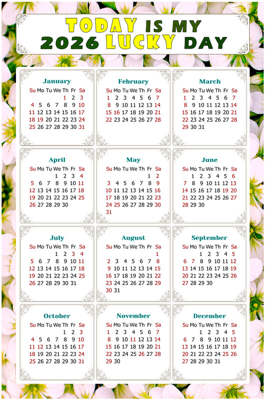 2026 Magnetic Calendar - Calendar Magnets - Today is my Lucky Day - (Fade, Tear, and Water Resistant) - Themed 029