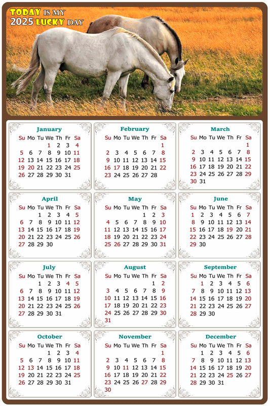 2025 Peel & Stick Calendar - Today is my Lucky Day Removable - Horses 013 (9"x 6")