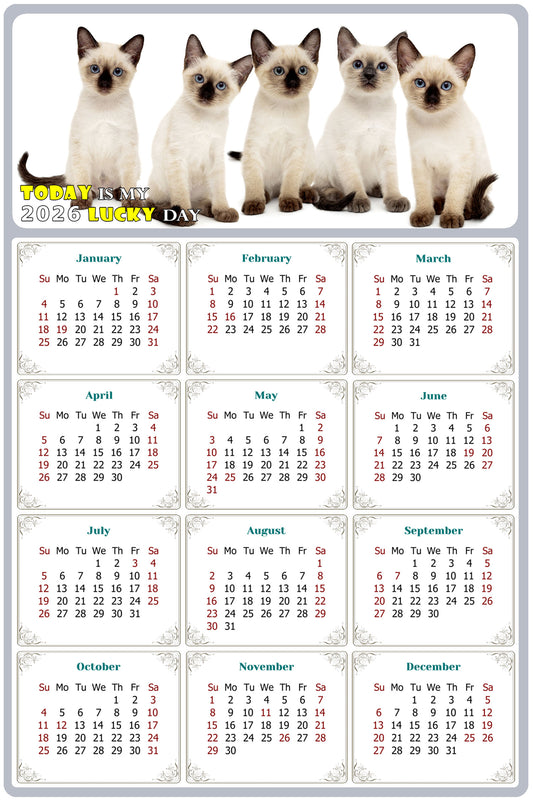 2026 Peel & Stick Calendar - Today is my Lucky Day Removable - Cat 020 (12"x 8")
