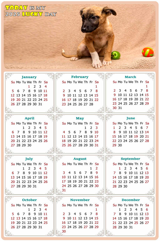 2025 Magnetic Calendar - Today is My Lucky Day (Fade, Tear, and Water Resistant)- Dogs Themed 021