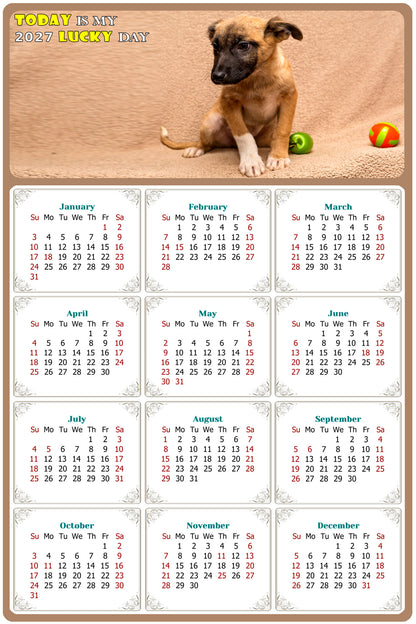 2027 Magnetic Calendar - Today is My Lucky Day (Fade, Tear, and Water Resistant)- Dogs Themed 021