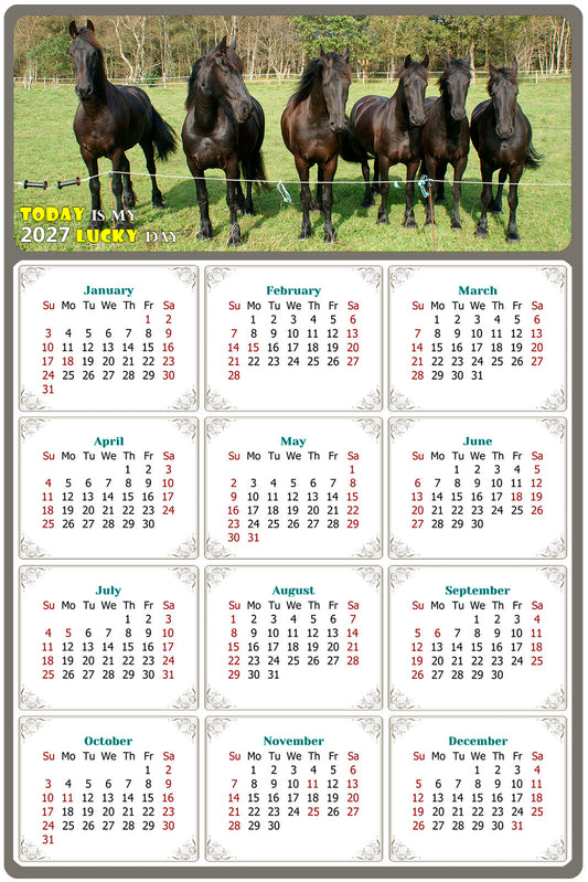 2027 Magnetic Calendar - Calendar Magnets - Today is my Lucky Day - (Fade, Tear, and Water Resistant) - Horses Themed 06