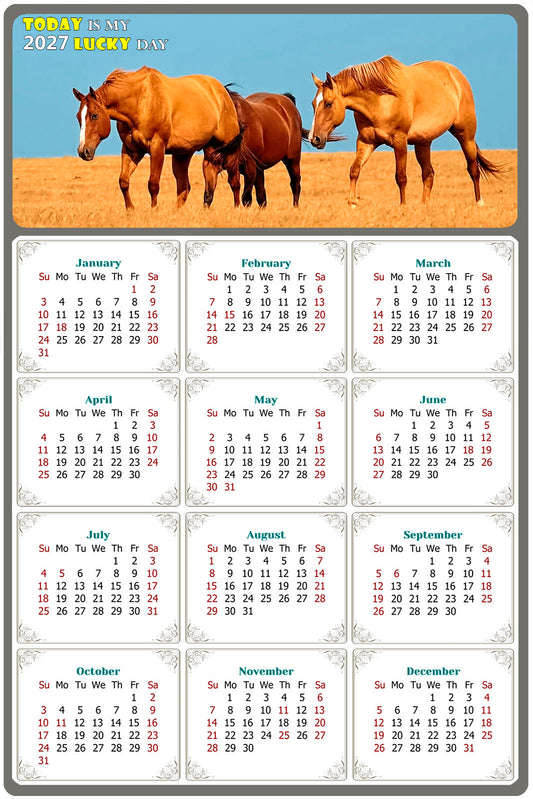 2027 Magnetic Calendar - Calendar Magnets - Today is my Lucky Day - (Fade, Tear, and Water Resistant) - Horses Themed 017
