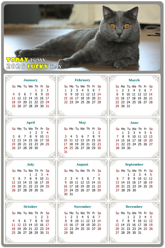 2026 Peel & Stick Calendar - Today is my Lucky Day Removable - Cat 014 (9"x 6")