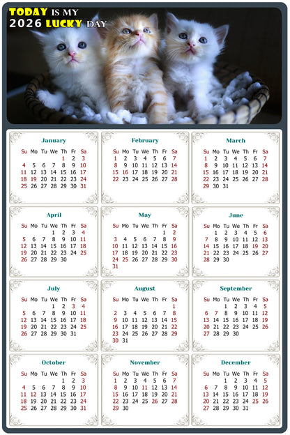 2026 Magnetic Calendar - Today is My Lucky Day (Fade, Tear, and Water Resistant)- Cat Themed 011