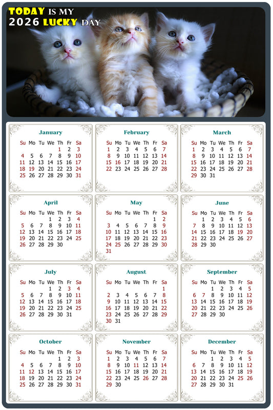 2026 Magnetic Calendar - Today is My Lucky Day (Fade, Tear, and Water Resistant)- Cat Themed 011