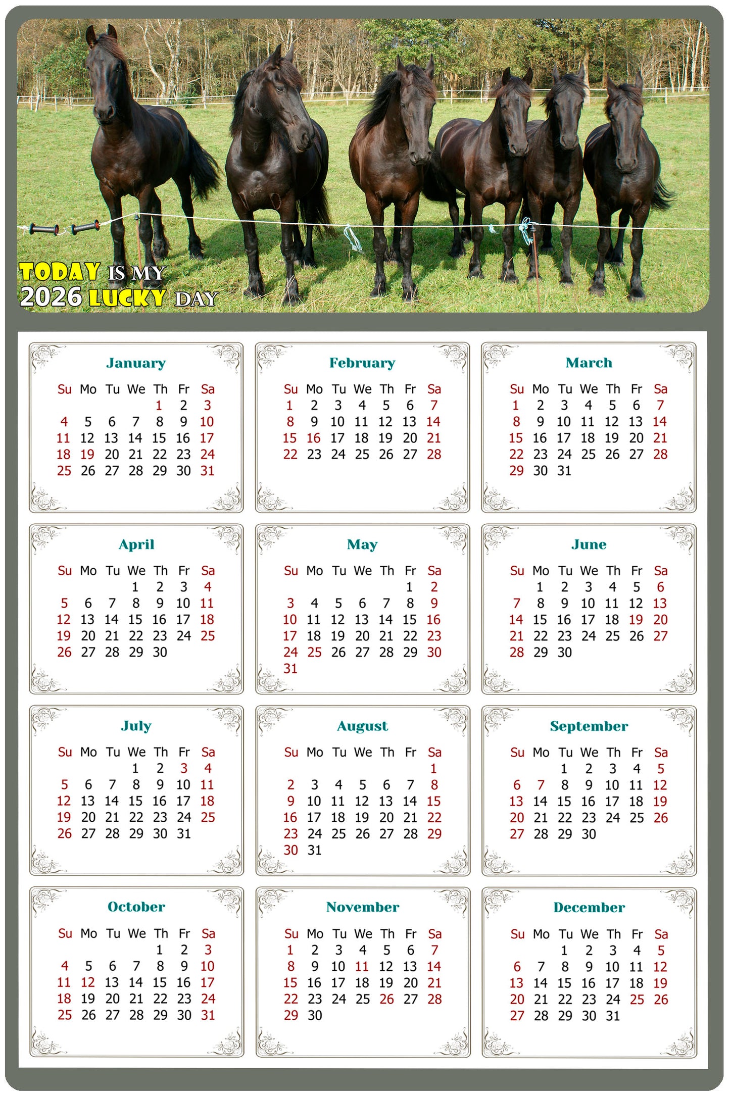 2026 Magnetic Calendar - Calendar Magnets - Today is my Lucky Day - (Fade, Tear, and Water Resistant) - Horses Themed 06