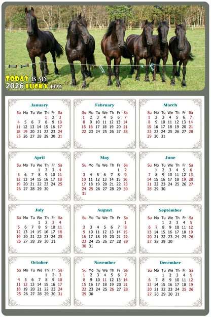 2026 Magnetic Calendar - Calendar Magnets - Today is my Lucky Day - (Fade, Tear, and Water Resistant) - Horses Themed 06