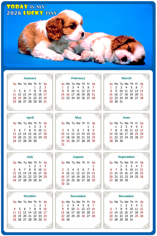 2026 Magnetic Calendar - Today is My Lucky Day (Fade, Tear, and Water Resistant)- Dogs Themed 011