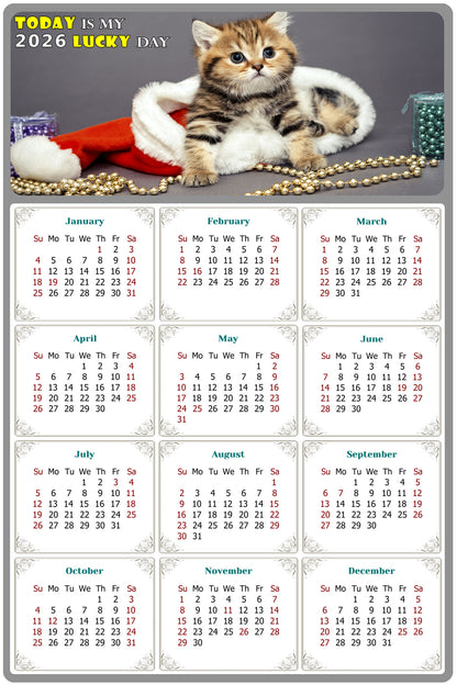 2026 Magnetic Calendar - Today is My Lucky Day (Fade, Tear, and Water Resistant)- Cat Themed 023