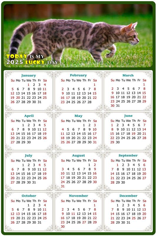 2025 Peel & Stick Calendar - Today is my Lucky Day Removable - Cat 09 (12"x 8")